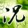 一比一原版艾灵岱尔学院文凭学位【degxx.com】